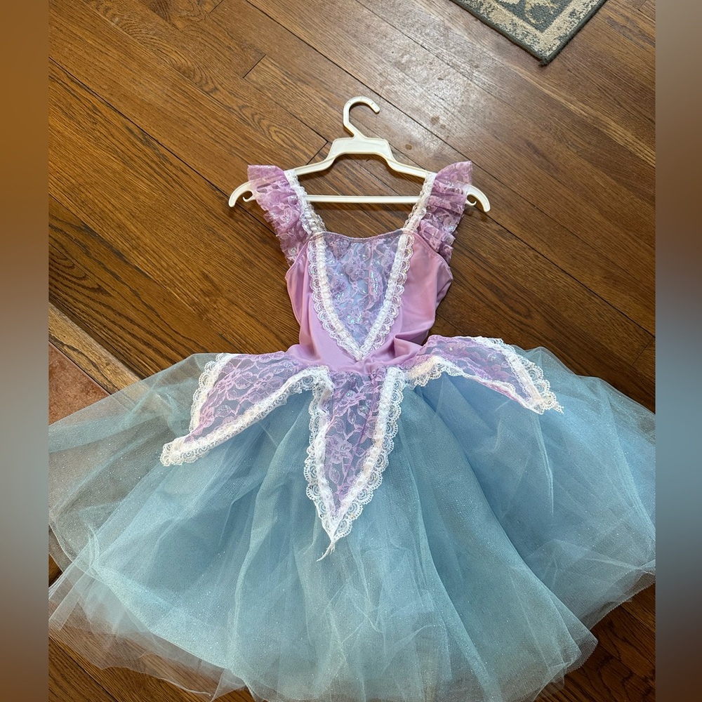 Purple and Blue ballet costume with matching bun accessory